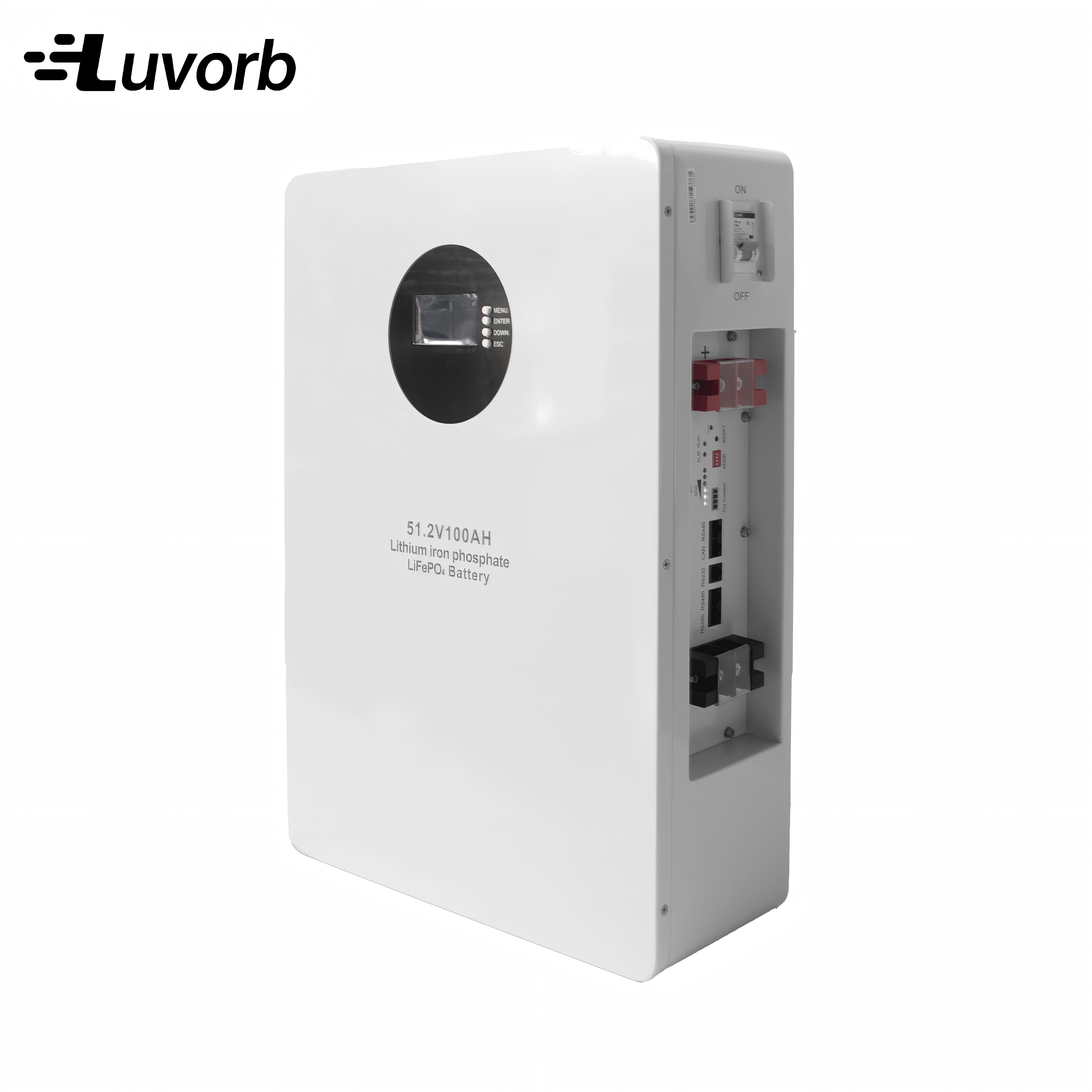 LiFePo4 Inverter Battery EMS 1 - Lithium Battery 100Ah ulasan dan harga