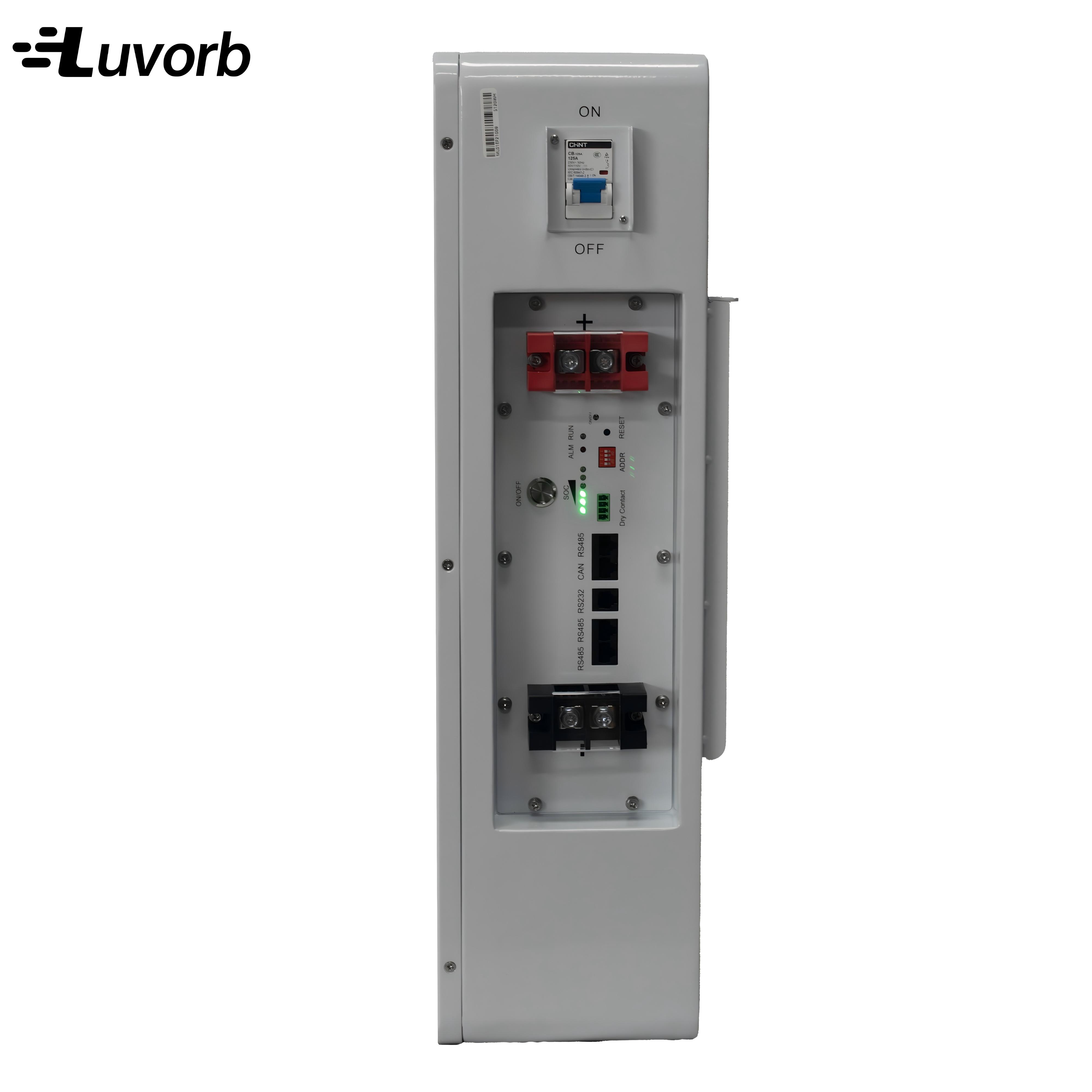 LiFePo4 Inverter Battery EMS 1 - Lithium Battery 100Ah ulasan dan harga