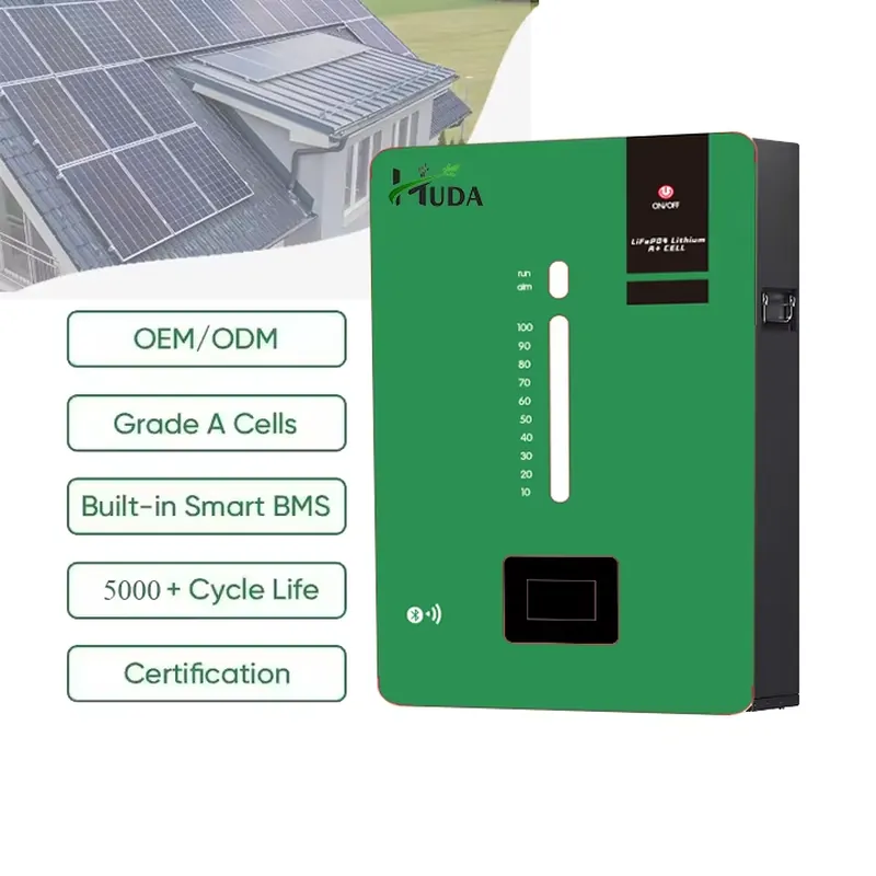 High Capacity 5kWh LiFePO4 Lit - Lithium Battery 100Ah ulasan dan harga